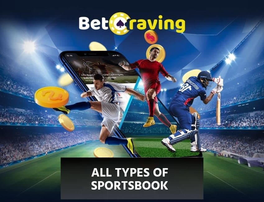 All Types of Sportsbooks
